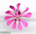Silene colorata (Pink pirouette) - CLICK TO ENLARGE PHOTO
